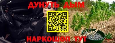PSILOCYBIN Моздок